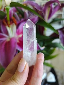 Cristal Mestre Lemuriano