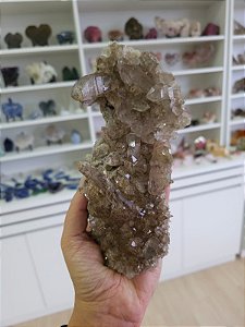 Drusa Fumê