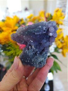 Ágata Grape (Ametista Grape)