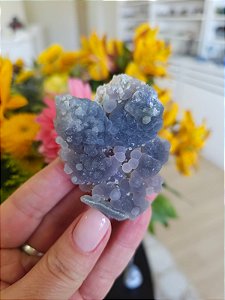 Ágata Grape (Ametista Grape)