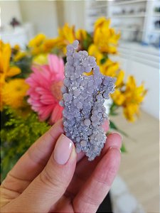 Ágata Grape (Ametista Grape)