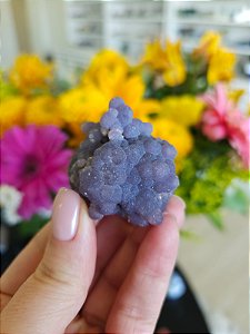 Ágata Grape (Ametista Grape)