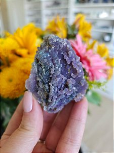 Ágata Grape (Ametista Grape)