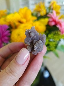 Ágata Grape (Ametista Grape)
