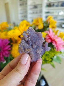 Ágata Grape (Ametista Grape)