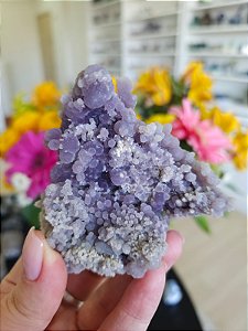 Ágata Grape (Ametista Grape)