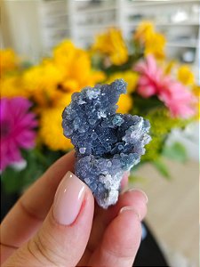 Ágata Grape (Ametista Grape)