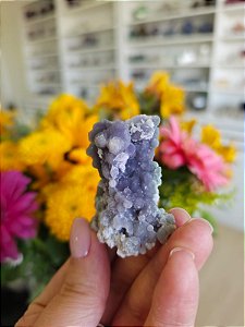 Ágata Grape (Ametista Grape)