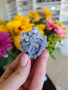 Ágata Grape (Ametista Grape)