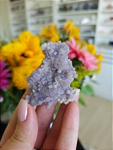 Ágata Grape (Ametista Grape)