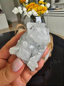 Drusa de Apofilita com Biterminada