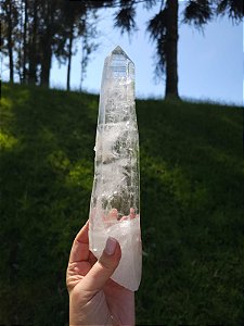 Super Mestre Autocurado e Elo do Tempo Futuro