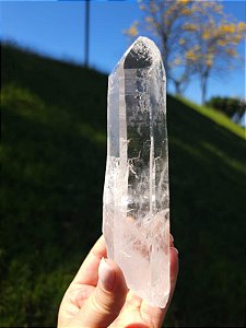 Mestre Trigônico (Formação Extra)