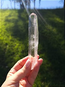 Mestre Gêmeo Tântrico (Formação Extra)