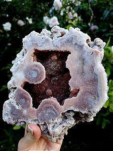 Geodo de Ametista Rosa (qualidade extra)