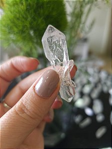 Mestre Biterminado Elo do Tempo Futuro