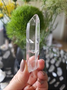 Mestre Templo Dévico (Formação Extra)