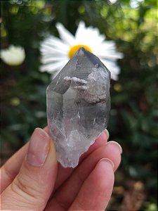 Mestre Lemuriano com Inclusão