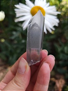 Mestre Phantom Negro