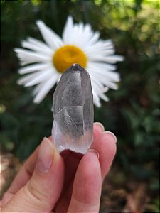 Mestre Phantom Negro