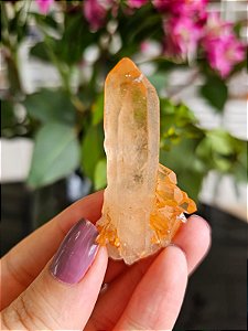 Drusa de Quartzo Tangerina com Ísis