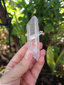 Mestre Chave (Qualidade Extra)