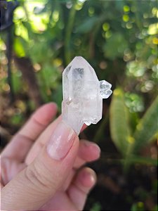 Mestre Autocurado e Ponte para fora ( Qualidade Extra)