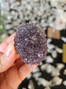 Flor de Ametista Uruguaia