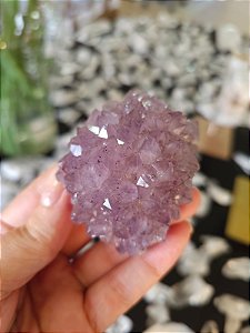 Flor de Ametista Uruguaia