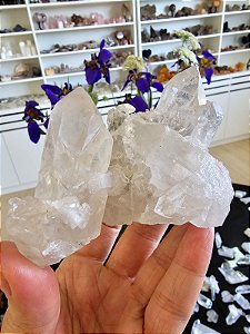 Drusa de Cristal com Inclusões de Rutilos Negros