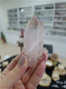 Mestre Gêmeo Tântrico Rosa