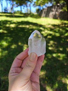 Cristal Mestre Arquivista com Rutilos