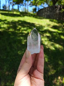 Mestre Semente Estelar com face desenhada