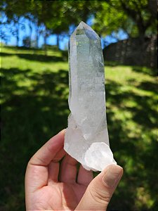 Mestre Autocurado, Canalizador e Arquivista