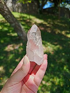 Mestre Canalizador Pink