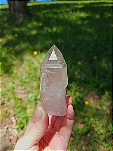 Ponta Pink com Face Lineada e Clorita