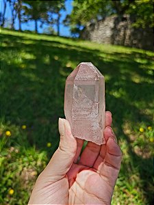 Mestre Arquivista, Elo do Tempo Futuro Pink