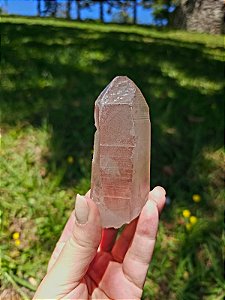 Mestre Lemuriano Pink