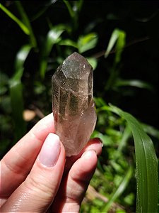 Quartzo com Rutilos Dourados