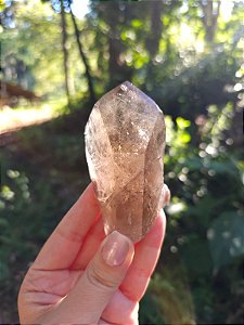 Quartzo com Rutilos Dourados