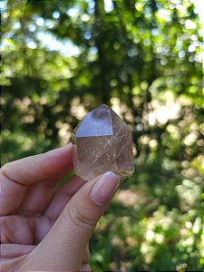 Quartzo com Rutilos Dourados