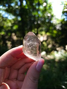 Quartzo com Rutilos Dourados Arquivista