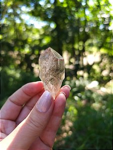 Quartzo com Rutilos Dourados