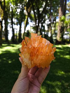 Drusa de Biterminados  Quartzo Tangerina