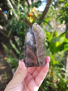 Quartzo com Epídoto