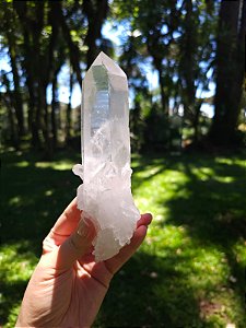 Super Mestre Autocurado, Ponte para Fora e Lemuriano