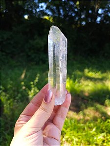 Mestre Arquivista Autocurado