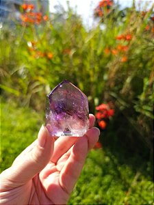 Phantom Ametista com Citrino