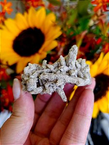 Quartzo Fumê com Lodolita