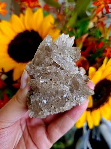 Quartzo Fumê com Lodolita